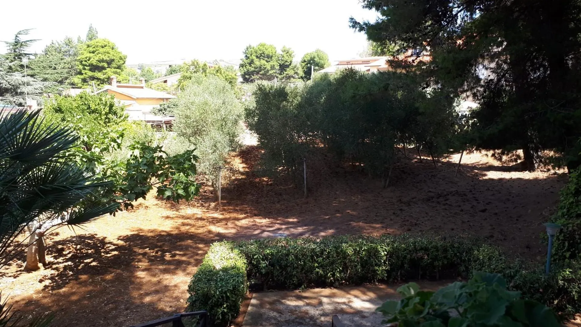 펜션 Villa Sofia San Ciro 401 Ulmi